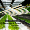 En interiores Mini LED Grow Light bajo fresas en crecimiento